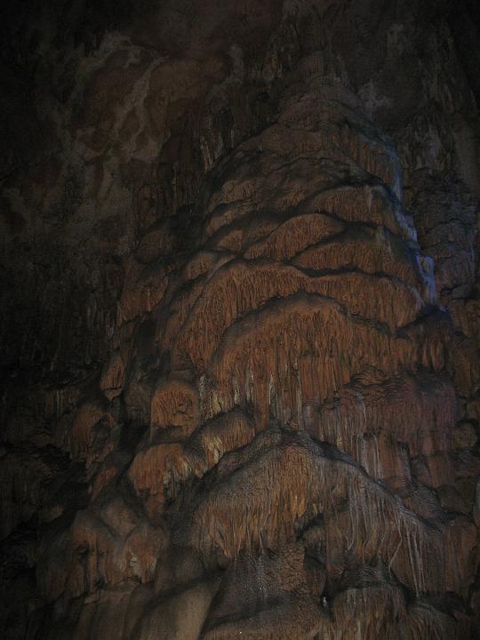 IMG_4774.JPG