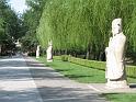 IMG_5835