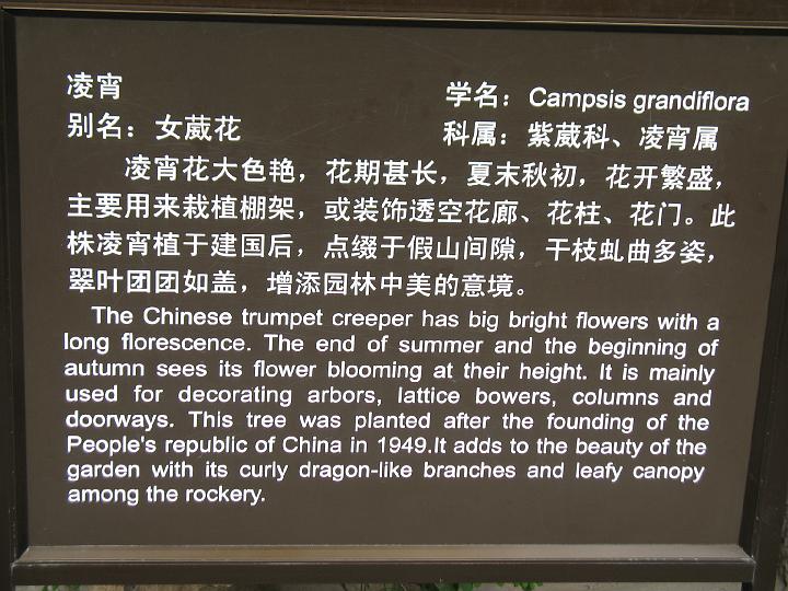 IMG_6171.JPG