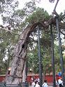 IMG_6190