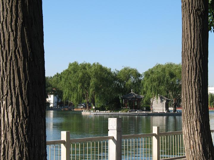 IMG_6256.JPG