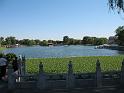 IMG_6262