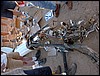 PICT0098.JPG